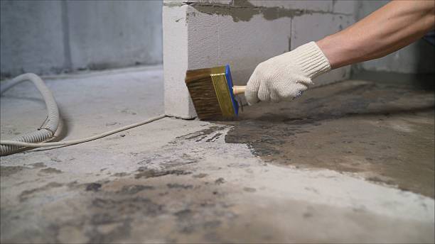 Top rated local Crawl Space Encapsulation specialists in Waterford, VA